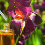 Iris Essential Oil