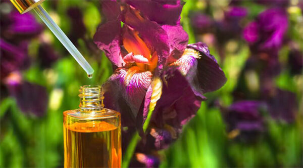 Iris Essential Oil