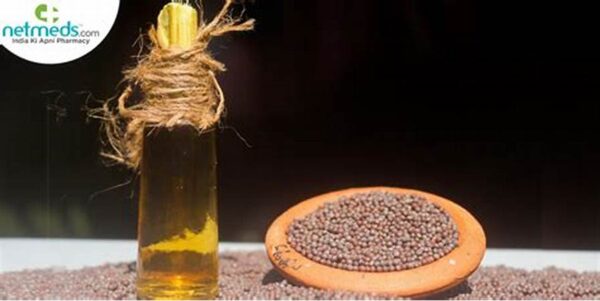 Rocket oil
