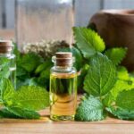 Lemon balm oil