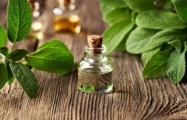 Tea Tree Oil