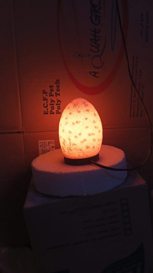 Rock salt lampshades - Image 21