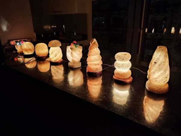 Rock salt lampshades - Image 31