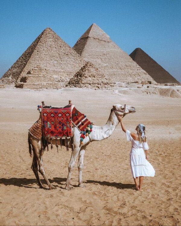 One hour camel ride in the archaeological area - Image 3