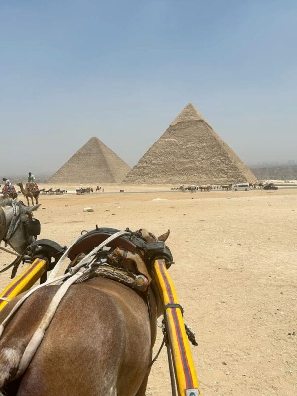 horse-drawn carriage ride - Image 2