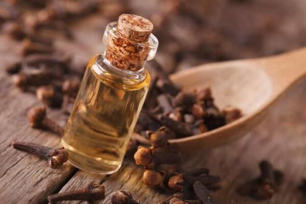Clove Bud Essential Oil