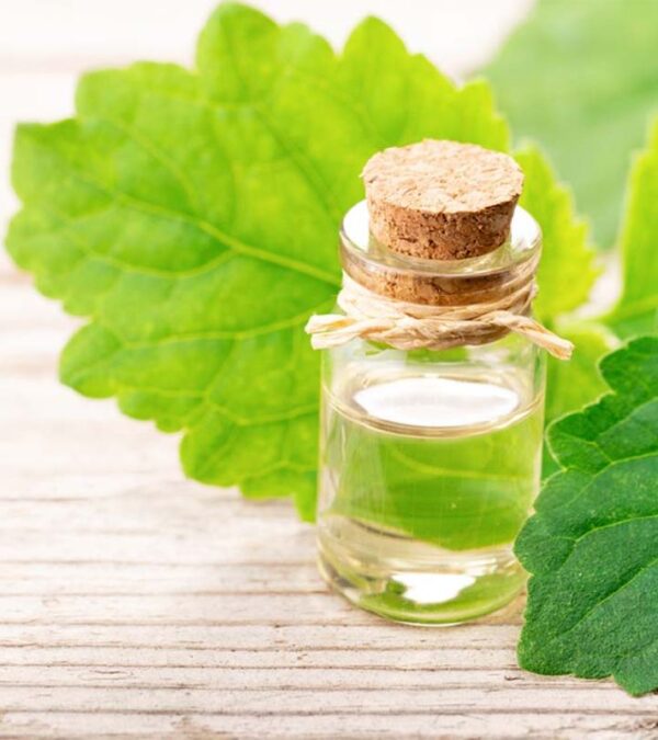 Patchouli Essential Oil