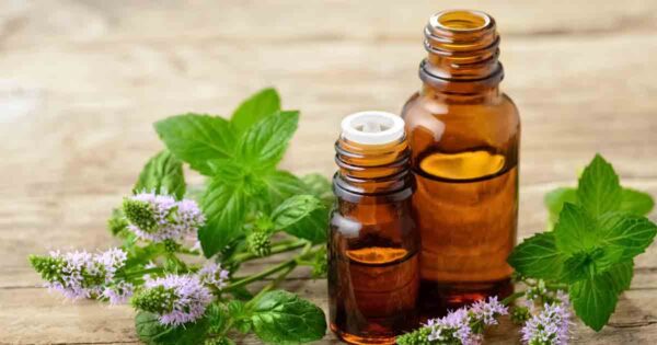 Lupine oil